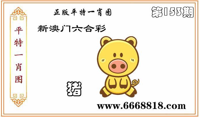 正版平特一肖