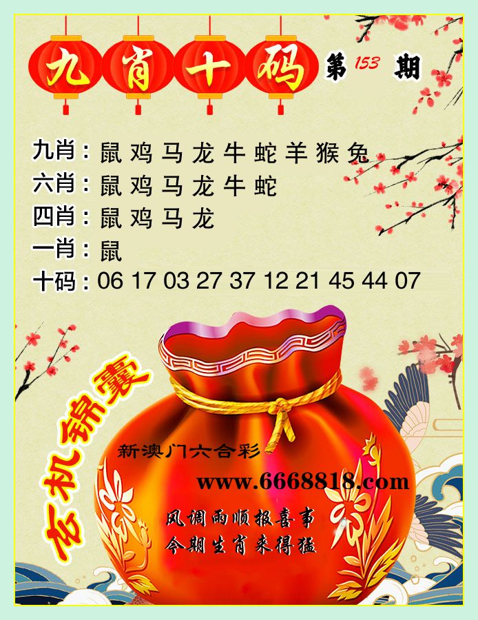 九肖十码